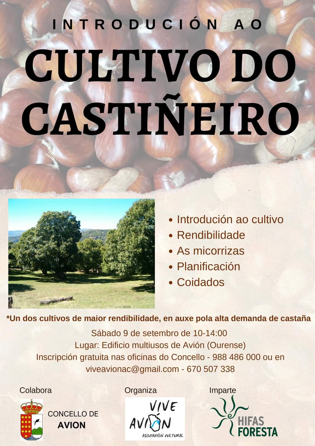 Curso de Introducion ao Cultivo do Castiñeiro